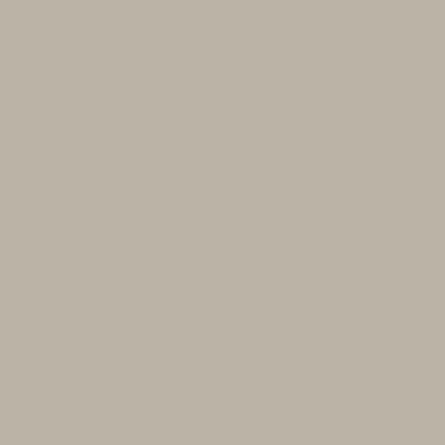 63. БЕТУЛИНОВЫЙ БЕЛЫЙ ТЕМНЫЙ Elegant Eggshell